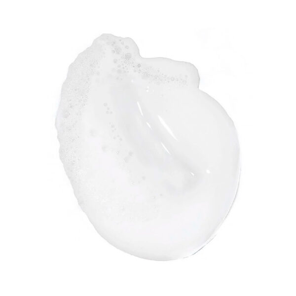 CeraVe Hydrating Cream to Foam Cleanser 12 Oz Spa Body Center